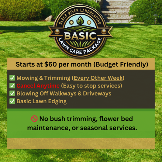 Basic Care Plan - $60 per month (Budget-Friendly Upkeep)